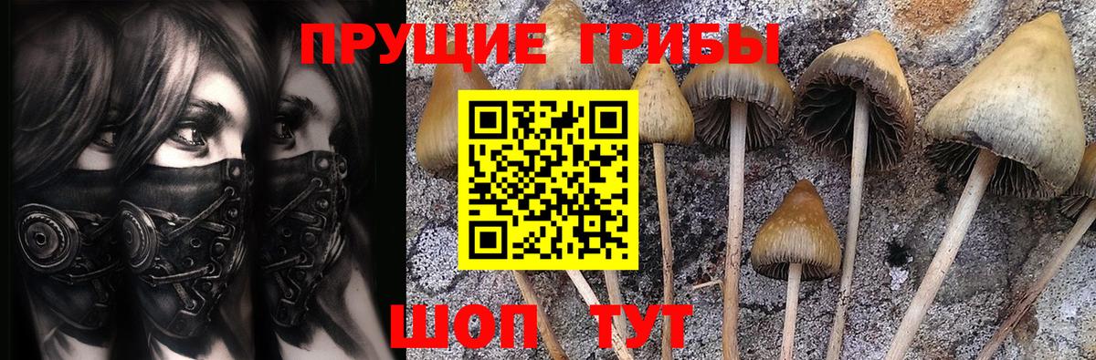 Усть-Джегута  Галлюциногенные грибы MAGIC MUSHROOMS  Галлюциногенные грибы MAGIC MUSHROOMS  сколько стоит  Вход с VPN 