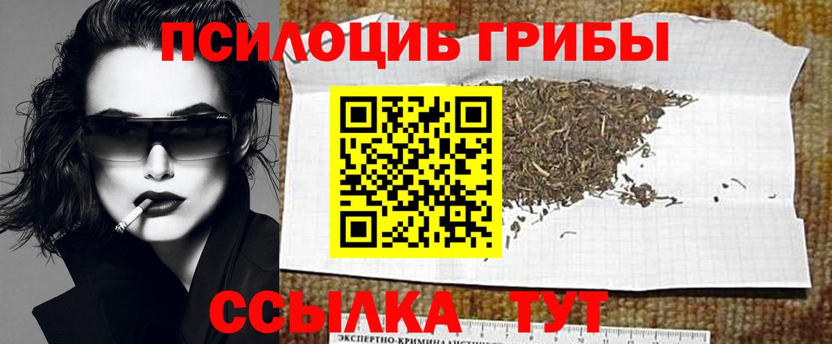Галлюциногенные грибы MAGIC MUSHROOMS Усть-Джегута